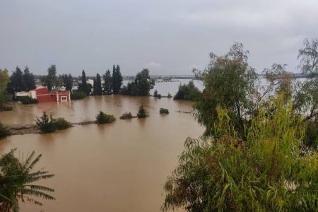 تعبئة ميدانية شاملة وتدابير وقائية لتحييد مخاطر ارتفاع منسوب وادي أم الربيع